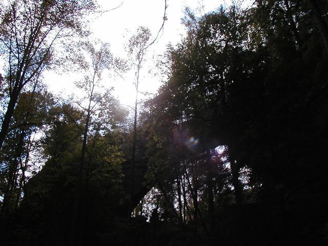 44:O1010045.jpeg
