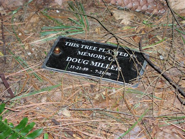 This tree planted in memory of Doug Miller<br>8:020527 010.jpg