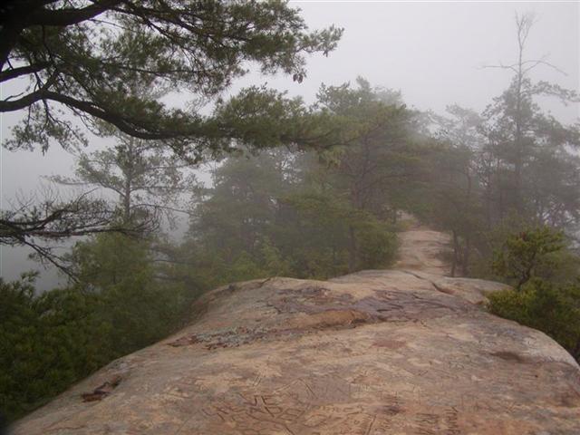 37:sky bridge in the morn.JPG