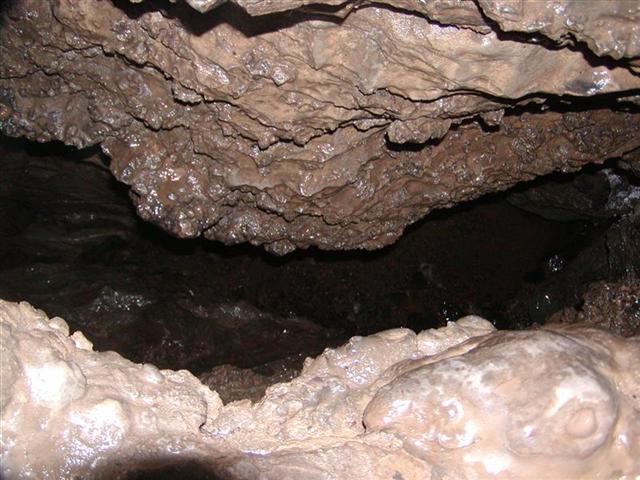 48:we climed over top of this.JPG
