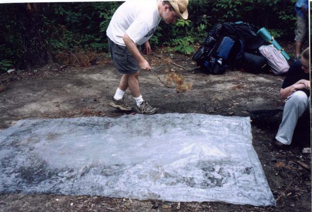 11:p013.jpg