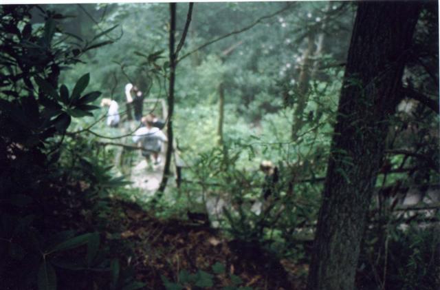 17:p019.jpg
