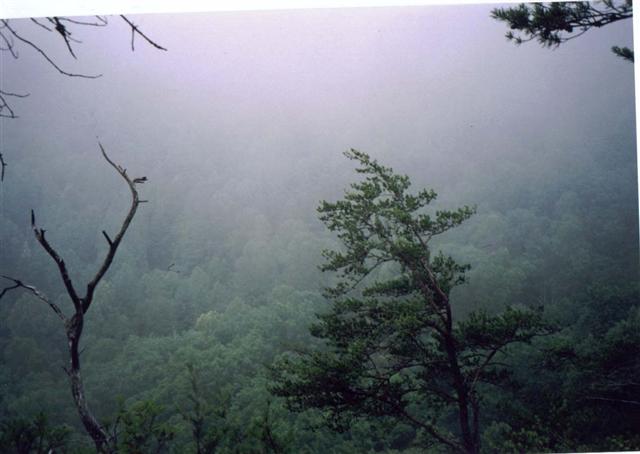 27:p029.jpg