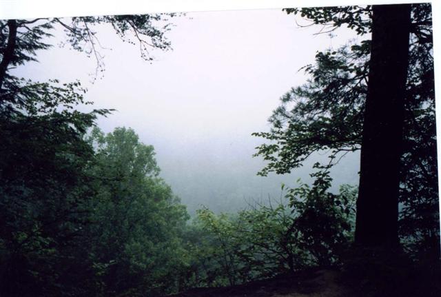 29:p031.jpg