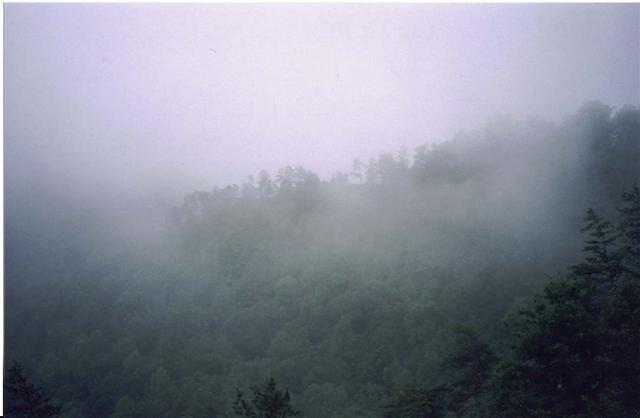 30:p032.jpg