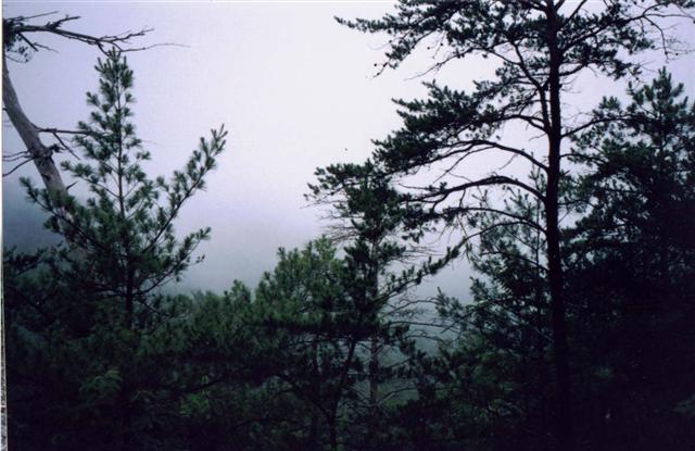 34:p036.jpg