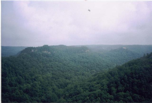 36:p038.jpg