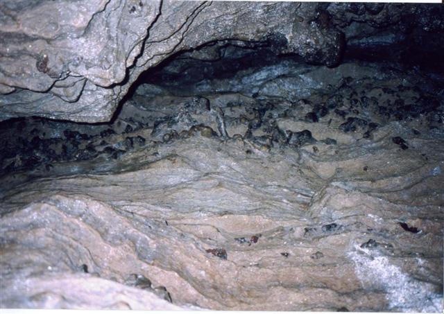 51:p054.jpg