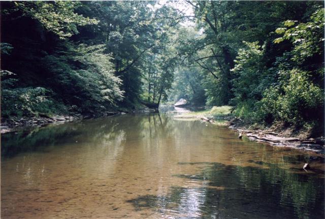 59:p062.jpg
