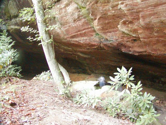 14:PA040220.JPG