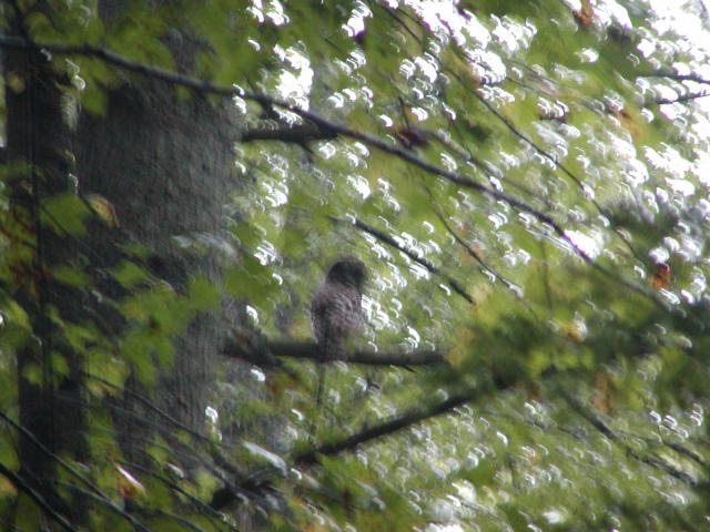 28:PA040242.JPG