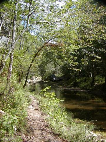 69:PA050306.JPG