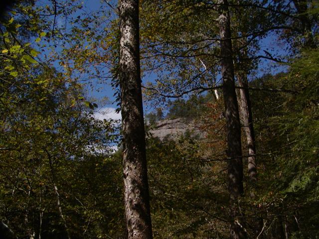 71:PA050308.JPG
