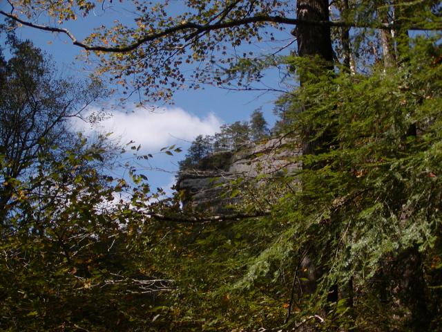 72:PA050309.JPG