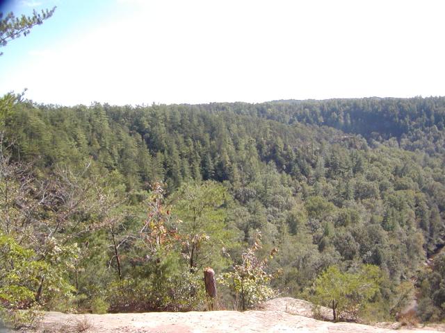 88:PA050326.JPG