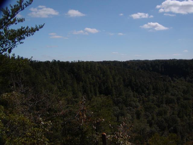 91:PA050330.JPG