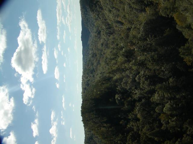 95:PA050334.JPG