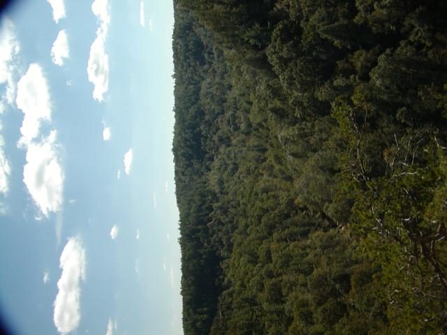97:PA050336.JPG