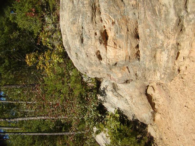 107:PA050346.JPG