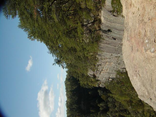 110:PA050349.JPG