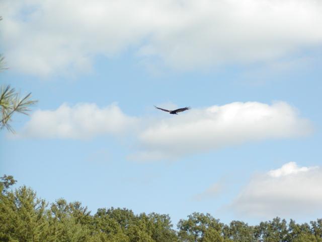 111:PA050351.JPG