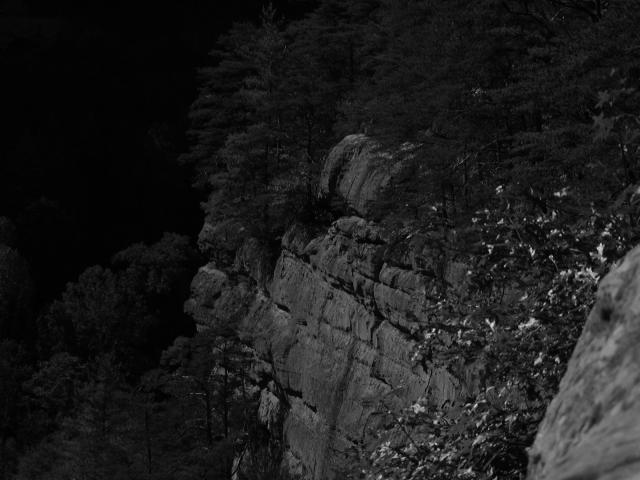 121:PA050365.JPG