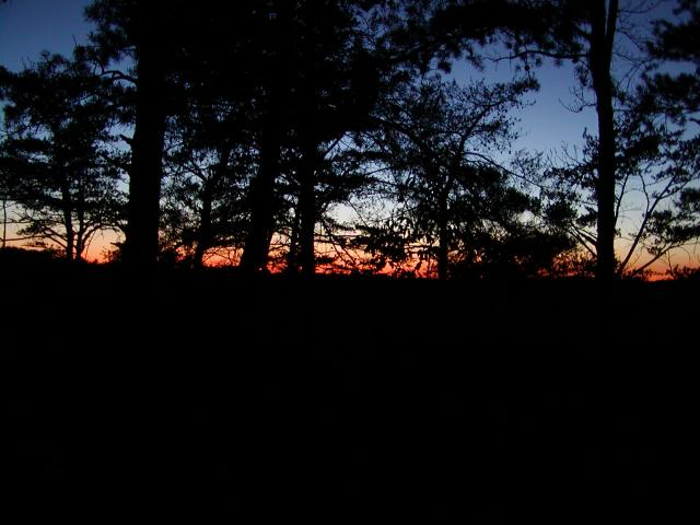 155:PA050402.JPG