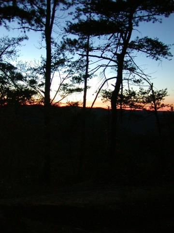 159:PA050407.JPG