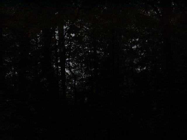 9:camping_oct2k2a 010.jpg