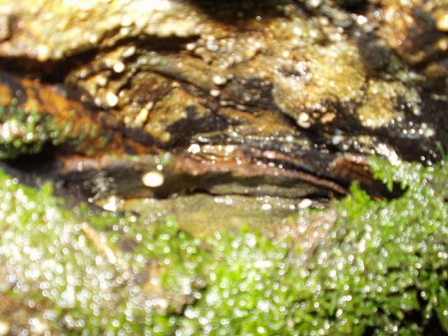 16:camping_oct2k2a 017.jpg