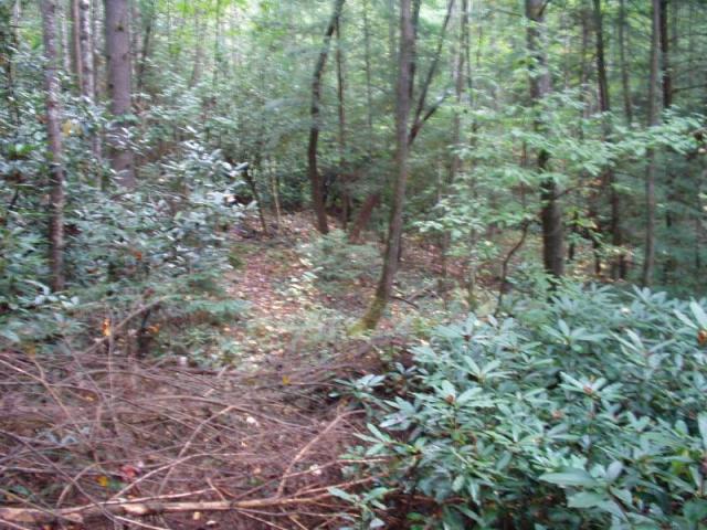 36:camping_oct2k2a 037.jpg