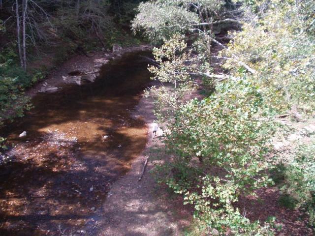 41:camping_oct2k2a 042.jpg