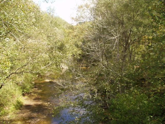 44:camping_oct2k2a 045.jpg