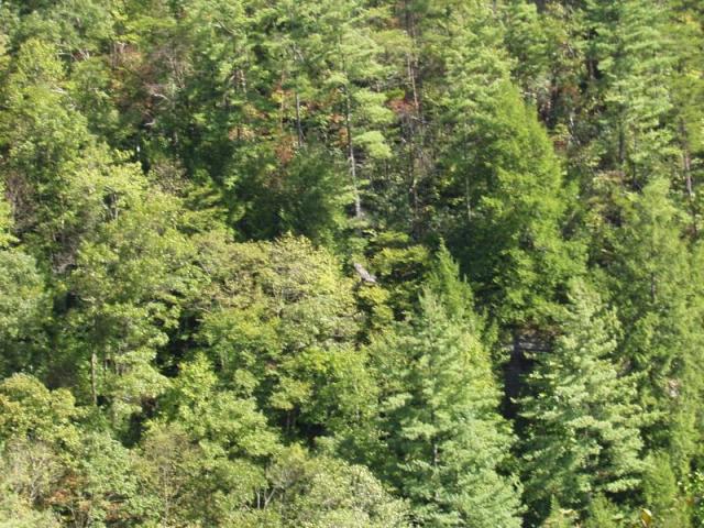 64:camping_oct2k2a 065.jpg