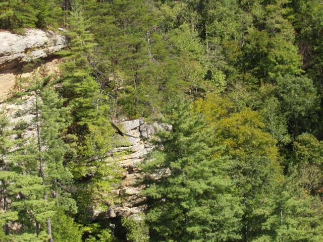 65:camping_oct2k2a 066.jpg