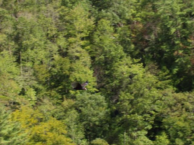 67:camping_oct2k2a 068.jpg