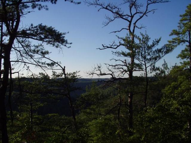 76:camping_oct2k2a 077.jpg