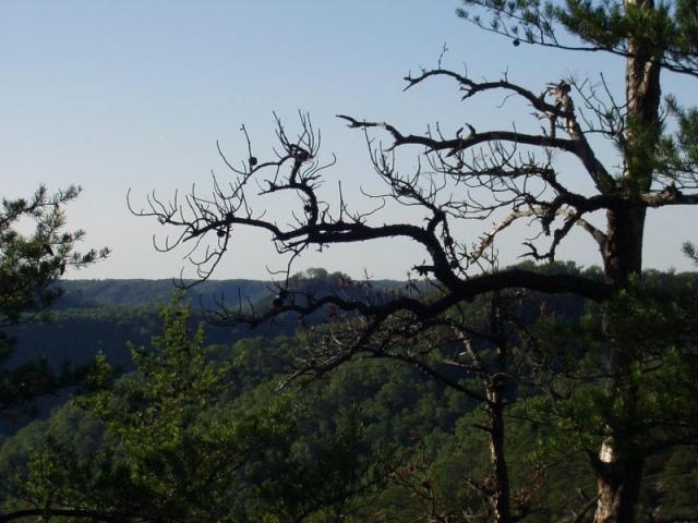 77:camping_oct2k2a 078.jpg