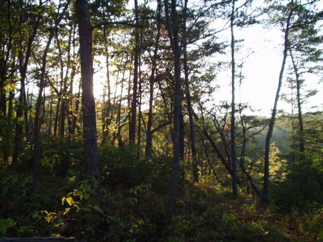 87:camping_oct2k2a 088.jpg