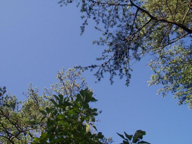 98:camping_oct2k2a 099.jpg