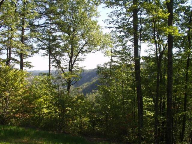102:camping_oct2k2a 103.jpg