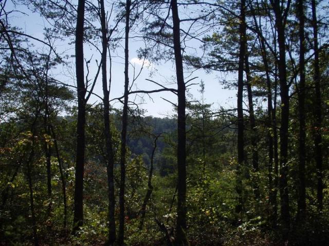 104:camping_oct2k2a 105.jpg