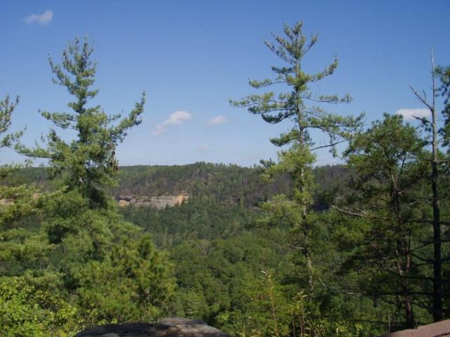 105:camping_oct2k2a 106.jpg