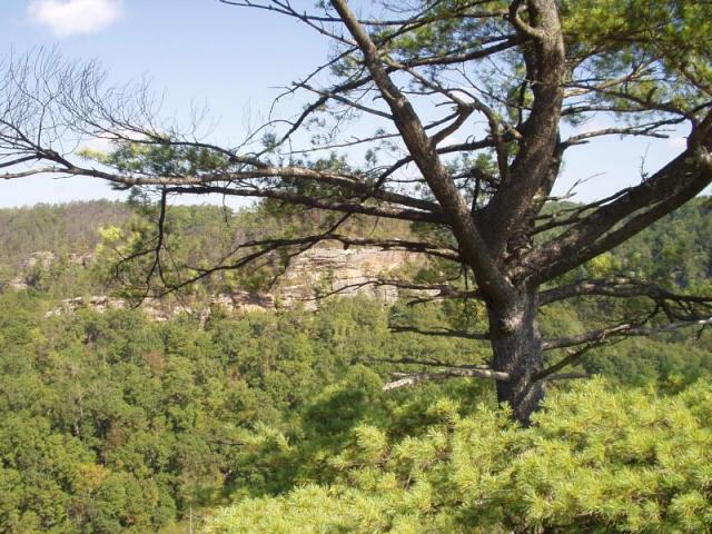 109:camping_oct2k2a 110.jpg