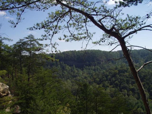 113:camping_oct2k2a 114.jpg