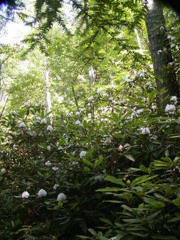 5:P1010063.jpg
