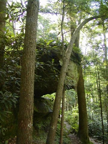 12:P1010072.jpg