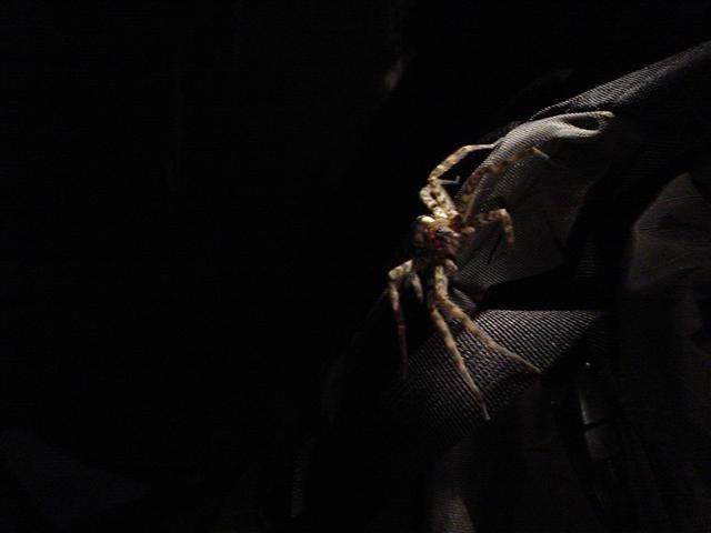 40:john041.jpg
