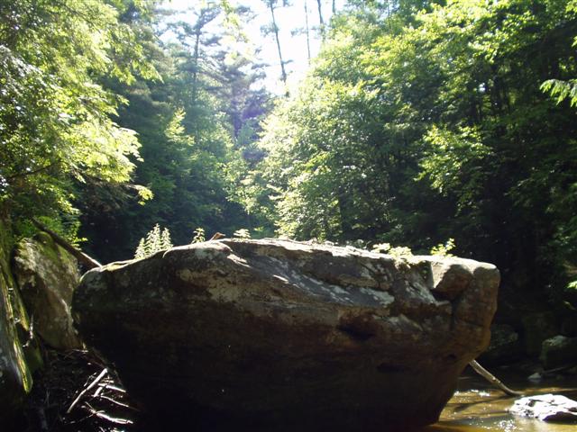 5:rrgorge6_2829_03 006.jpg