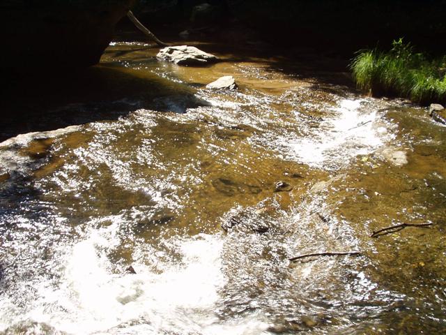 8:rrgorge6_2829_03 009.jpg